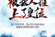 被追杀的我,被敌人推上了皇位在线看,夏天司马兰小说大结局在哪免费看-木头文学