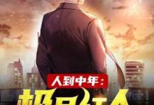 人到中年:极品红人最新章节人到中年:极品红人在线阅读-木头文学
