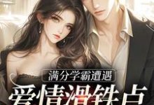 跪求主角是黎政舒乔的小说书名叫什么-木头文学
