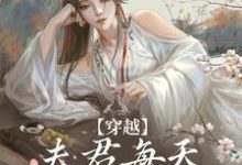 穿越：夫君每天都在争风吃醋大结局，沈夏多夫小说无广告阅读-木头文学