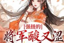 小说强扭的将军酸又涩,她不要了!主角冷意欢夜澜清免费阅读-木头文学