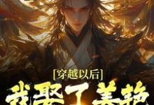 主角是貂长聚柳漓烟的小说穿越以后,我娶了美艳宗主当老婆在哪免费看-木头文学