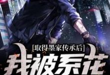 陈瀚宁欣楠最新章节列表取得墨家传承后，我被系花盯上了免费阅读-木头文学
