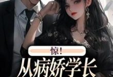 惊！从病娇学长身边逃跑失败了（主角叶寒向暖）完结版免费阅读-木头文学