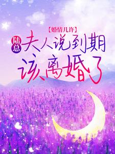 姜瓷陆禹东小说免费阅读最新章节列表，婚情几许：陆总，夫人说到期该离婚了小说在线看