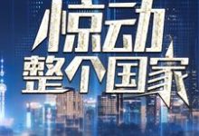 我一通电话，惊动整个国家热门小说(叶北)在线阅读无弹窗-木头文学