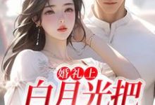主角是沈矜陈槿之的小说婚礼上，白月光把男友截胡了在哪免费看-木头文学
