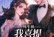 求助这本一场车祸，我喜提妻女一双？小说在哪里可以看完结版-木头文学