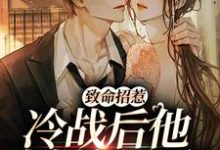 致命招惹:冷战后他靠撒娇求和(李书妤许况)完结版免费阅读-木头文学