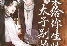 完结版系统：太子别怕，我来给你生娃了在哪免费看，许锦意小说在线阅读-木头文学