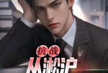 叶青山小说免费阅读最新章节列表,抗战:从淞沪保卫战开始小说在线看-木头文学