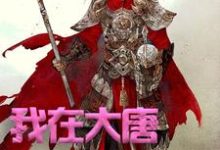 方二在线阅读，我在大唐卖军火小说完结版章节-木头文学