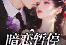 暗恋暂停，开始恋爱小说最新章节在哪里可以免费看-木头文学