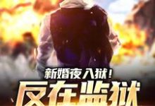 秦风林婉儿小说的结局在哪可以看，新婚夜入狱！反在监狱成大佬免费阅读完结版-木头文学