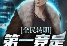 全民转职，第一竟是混子瑶完结版叶枫免费阅读大结局-木头文学