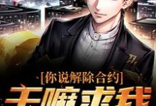 你说解除合约，干嘛求我回去（陆洲）最新章节免费阅读-木头文学