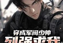 穿成军阀少帅，列强求我别扩军了热门小说(秦林)在线阅读无弹窗-木头文学