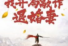跪求主角是顾风的小说书名叫什么-木头文学