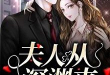 夫人从深渊来小说最新章节在哪里可以免费看-木头文学