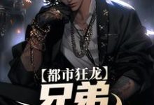 亲哥出狱，带我起飞有错吗热门小说(宋渔向影)在线阅读无弹窗-木头文学