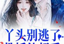 小说丫头别逃了！教授他超爱主角苏绾晚谢宴宁免费阅读-木头文学