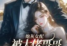 炮灰女配被大佬哥哥团宠后野翻了热门小说(袁央央)在线阅读无弹窗-木头文学