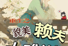 重生之貌美赖夫太难训免费阅读(王乔潘惊华)小说免费读最新章节-木头文学