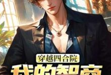 穿越四合院：我的智商震惊高层免费阅读，易鑫大结局无弹窗-木头文学
