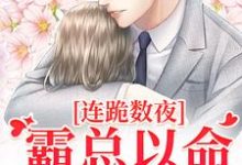 连跪数夜,霸总以命换我重生免费阅读,夏晚南枭大结局无弹窗-木头文学