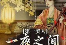 第一美人，一夜之间沦为笑柄在线看，沐青婼楚云珩小说大结局在哪免费看-木头文学