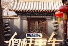 主角是傻柱秦淮茹的小说四合院：傻柱重生，收养破局在哪免费看-木头文学