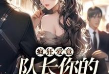 疯狂爱意：队长你的媳妇跑路啦大结局，秦凛杨婂小说无广告阅读-木头文学