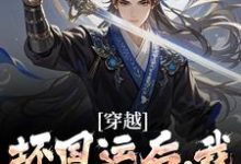 穿越：坏国运后，我要飞升成仙（李天唐含雪）完结版免费阅读-木头文学