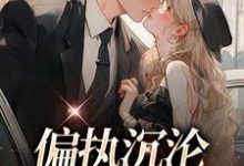 小说偏执沉沦:学长,晚上见主角 姜海吟邹言免费阅读-木头文学
