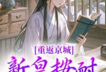 重返京城，新皇按耐不住了！（主角陆行简苏晚晚）完结版免费阅读-木头文学