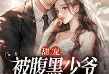 甜宠：被腹黑少爷藏起来的娇宝免费阅读，沈初棠时承煜大结局无弹窗-木头文学
