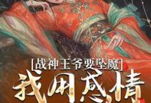 战神王爷要坠魔，我用感情拯救他（苏婉清陆少卿）最新章节在线阅读-木头文学