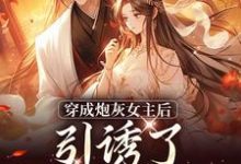 踹掉言情男主，勾搭男频帝王完结版沈毓灵权明赫免费阅读大结局-木头文学