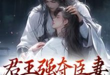 君王强夺臣妻,只为惊鸿一面完结版陆妧夕尉迟璟免费阅读大结局-木头文学