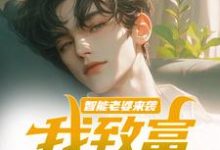 跪求主角是苏富夏李紫苏的小说书名叫什么-木头文学