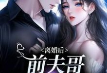 小说离婚后,前夫哥苦等我回头主角景钰李岩松免费阅读-木头文学