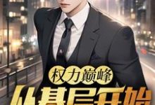苏绵绵小说免费阅读最新章节列表,权力巅峰:从基层开始步步高升小说在线看-木头文学