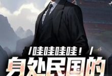 哇哇哇哇!身处民国的我变大佬小说最新章节在哪里可以免费看-木头文学