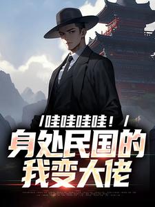 哇哇哇哇！身处民国的我变大佬小说最新章节在哪里可以免费看