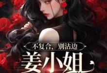 不复合,别沾边,姜小姐又美又飒免费阅读(顾衍泽苏辞心)小说免费读最新章节-木头文学
