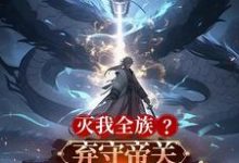 灭我全族?弃守帝关,化禁区之主免费阅读,顾尘大结局无弹窗-木头文学