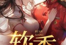 主人公是宋翊的小说不是大哥，你兜这大一圈就为娶我免费阅读-木头文学