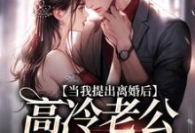 当我提出离婚后,高冷老公哭红了眼(詹挽月况承止)完结版免费阅读-木头文学