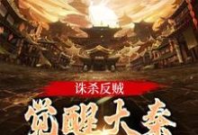 诛杀反贼，觉醒大秦千年气运在线看，嬴启小说大结局在哪免费看-木头文学