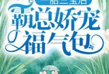 一胎三宝后,霸总娇宠福气包(陆北城江如意)最新章节免费阅读-木头文学